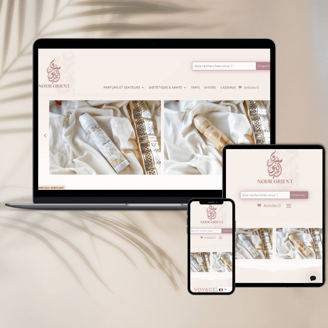 <br />
agence création site e-commerce boutique en ligne nour orient palmier ordinateur responsive