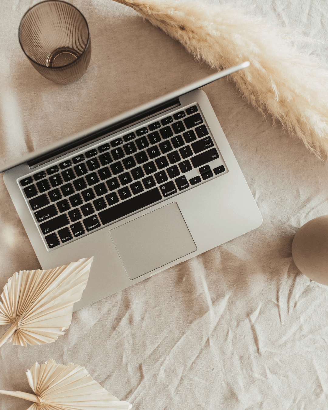 contacter un webmaster ordinateur fleur sechée