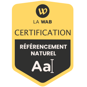 Consultant seo wordpress